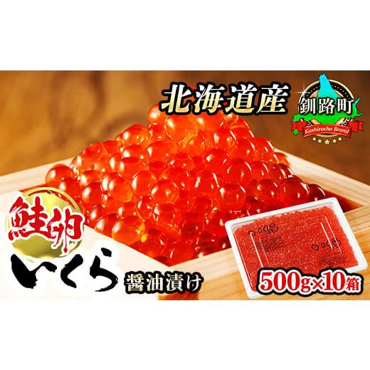 ふるさと納税 いくら 北海道 釧路町 北海道産 いくら醤油漬け 500g×10箱 配送日時指定可能 国産 いくら イクラ ikura 鮭 鮭卵 鮭いくら 魚卵 冷凍 配送月指定…