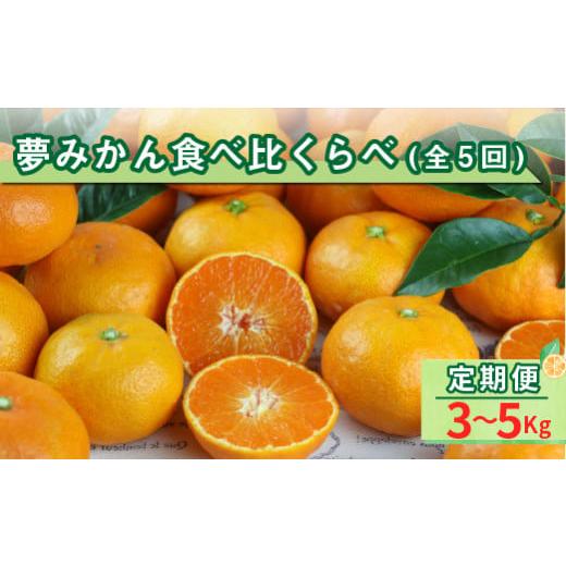 ふるさと納税 果物類 みかん 三重県 御浜町 アグリの夢みかん食べくらべ(全5回) 期間限定 数量限定 果物 フルーツ みかん デザート 定期便 定期 5回 三重県 …