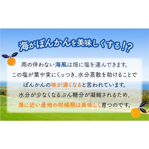 ふるさと納税 高知県 東洋町 【先行予約】ポンカン 海のミネラルをたっぷり含んだ甲浦のポンカン 5kg〈訳あり〉 国産 東洋町産 訳アリ 甘い 栄養たっぷり ジュ…｜furusatochoice｜04