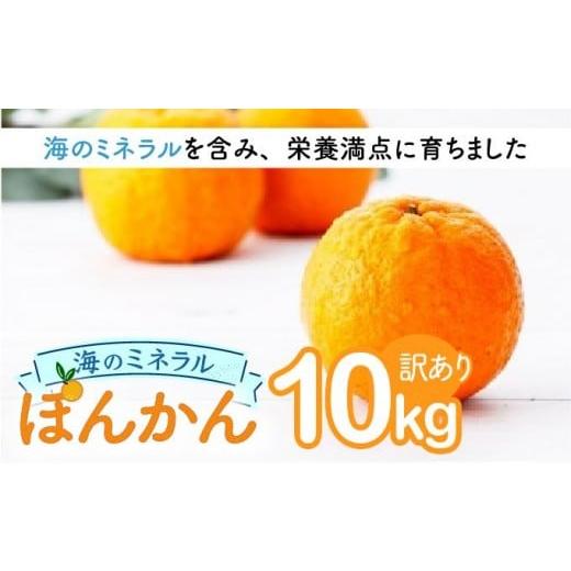 ふるさと納税 みかん・柑橘類 高知県 東洋町 海のミネラルをたっぷり含んだ甲浦のポンカン 10kg[訳あり] 国産 東洋町産 訳アリ 甘い 栄養たっぷり ジューシ…