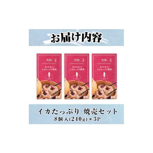 ふるさと納税 鳥取県 境港市 化粧箱入り！イカ屋が作ったイカたっぷり焼売セット(計24個・8個入×3セット)【sm-AJ001】【福栄】｜furusatochoice｜08