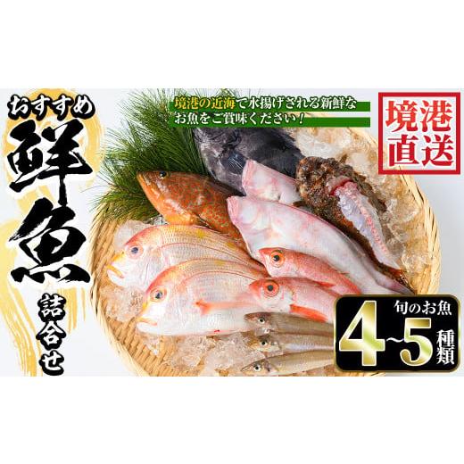 ふるさと納税 鳥取県 境港市 [平日着][7〜8月・年末年始配送不可]おすすめ鮮魚詰め合わせ(4〜5種類)[sm-AA003-A][いたくら] 平日着※指定日不可