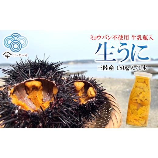 ふるさと納税 ウニ 岩手県 久慈市 「先行予約」2026年発送分「ミョウバン不使用 牛乳瓶入 生うに 180g」 岩手 三陸 久慈 冷蔵 牛乳瓶 生 雲丹 ウニ 新鮮 添加…