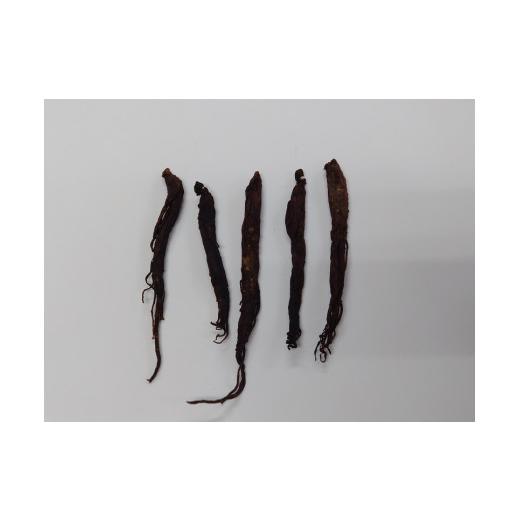 ふるさと納税 鹿児島県 知名町 038-01　黒高麗人参酒　沖州水神（ちゅうしゅうすいじん）700ml ちゅうしゅうすいじん