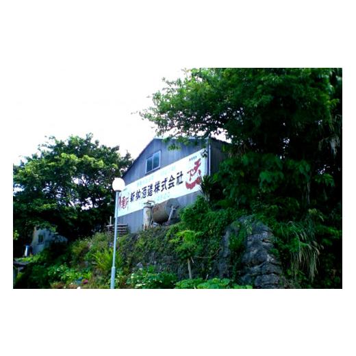 ふるさと納税 鹿児島県 知名町 038-01　黒高麗人参酒　沖州水神（ちゅうしゅうすいじん）700ml ちゅうしゅうすいじん