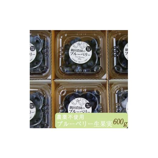 ふるさと納税 果物類 京都府 亀岡市 先行予約 すだ農園 栽培期間中農薬不使用 朝摘み ブルーベリー 生果実 600g | 果実 新鮮フルーツ 北海道・沖縄・離島へ…