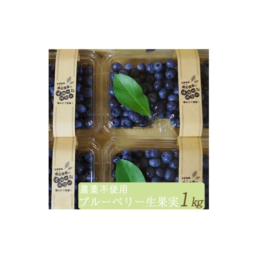 ふるさと納税 果物類 京都府 亀岡市 先行予約 すだ農園 栽培期間中農薬不使用 朝摘み ブルーベリー 生果実 1kg | 果実 新鮮 フルーツ 北海道・沖縄・離島へ…