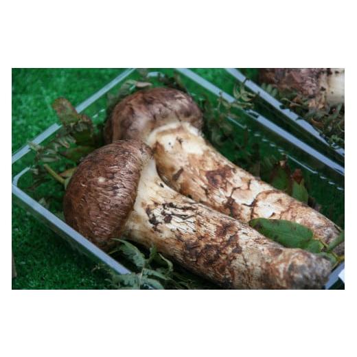 ふるさと納税 野菜類 岩手県 普代村 定期便 春夏秋冬 季節の野菜詰め合わせお楽しみコース (松茸コース) 年4回(山菜、春野菜、夏野菜、松茸、ほうれん草…