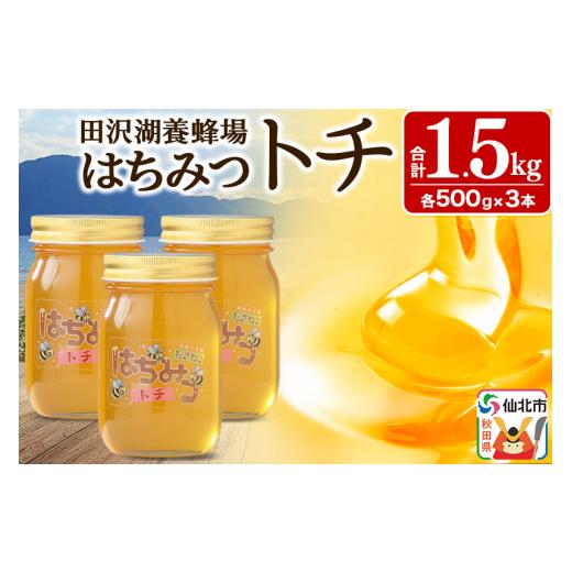 ふるさと納税 加工品等 はちみつ 秋田県 仙北市 秋田県産はちみつ トチ蜜500g×3本 合計1.5kg 化粧箱入り 田沢湖養蜂場の画像