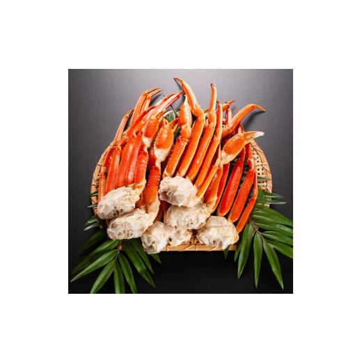 ふるさと納税 茨城県 大洗町 ずわいがに ボイル ２kg カニ専門店 カジマ 蟹 カニ 海鮮 冷凍 焼きガニ 鍋 蟹 ズワイ ズワイガニ カニ カニ