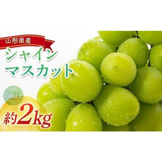 ふるさと納税 ぶどう マスカット 山形県 南陽市 令和8年産先行予約 シャインマスカット 約2kg (2房以上) [令和8年9月頃〜発送] 『南陽中央青果市場』 マス…