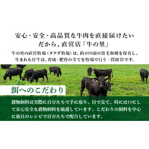 ふるさと納税 肉 ハンバーグ 北海道 白老町 牛の里ビーフハンバーグ（110g×10個）特製ソース（10袋）の詰合せ ハンバーグ 牛肉 国産 人気 ソース付