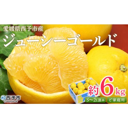 ふるさと納税 果物類 みかん 愛媛県 西予市 ジューシーゴールド(河内晩柑) ご家庭用 約6kg 訳あり 果物 フルーツ かわちばんかん じゅーしーごーるど みか…