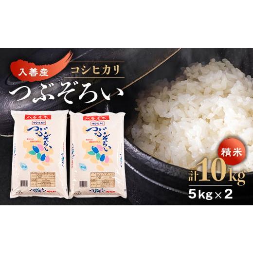ふるさと納税 米 コシヒカリ 富山県 入善町 令和7年産 入善産コシヒカリ10kg 1212921