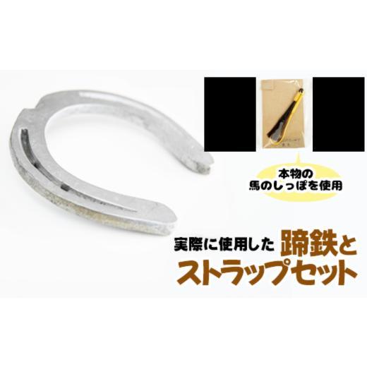 ふるさと納税 アクセサリー 岩手県 滝沢市 蹄鉄 ( 鉄製 シルバー )&amp; 馬のしっぽの毛 ストラップ ( 栗毛 ) 馬っこパーク・いわて / てい鉄 さび止め …