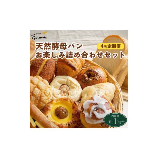 ふるさと納税 パン 京都府 亀岡市 市制70周年記念 2週間に1度×4回 4回定期便 天然酵母パン お楽しみ詰合せセット 計4回お届け 北海道・沖縄、その他離島・…