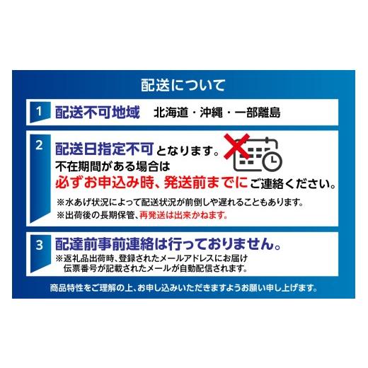 ふるさと納税 いか 兵庫県 香美町  兵庫県香住産 ほたるいか 多種多様さ仕かける5種 足し加える980g 凝結 日本海 香住 柴山 漁港 引っ掴まえる 国産 ホタルイカ 刺身用ほた…