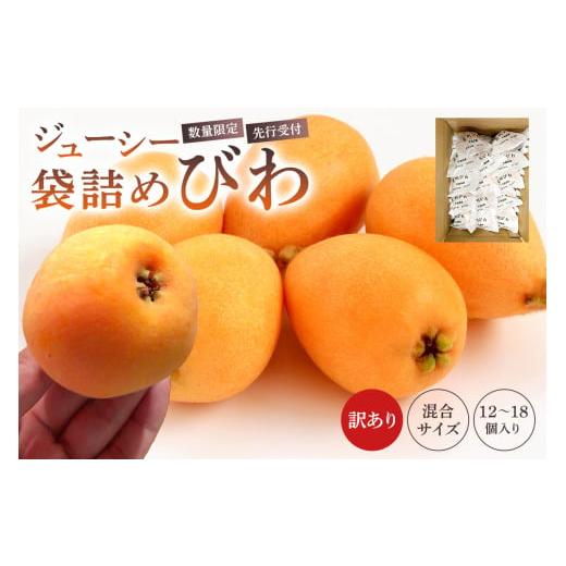ふるさと納税 果物類 びわ 千葉県 南房総市 先行受付 2026年5月中旬〜6月中旬発送予定 数量限定 生産者直送 ジューシー袋詰めびわ(訳あり混合サイズ12〜18…
