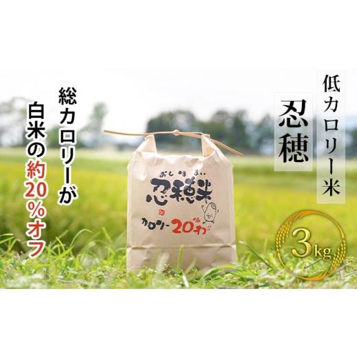ふるさと納税 米 長野県 箕輪町 低カロリー米 忍穂(おしほ)3kg お米