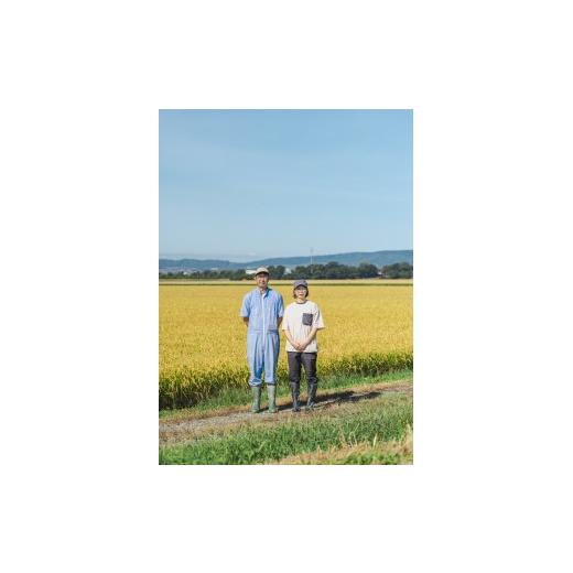 ふるさと納税 無洗米 北海道 由仁町 C10　無洗米　令和８年産　ゆめぴりか　５kg×６回 定期便_2