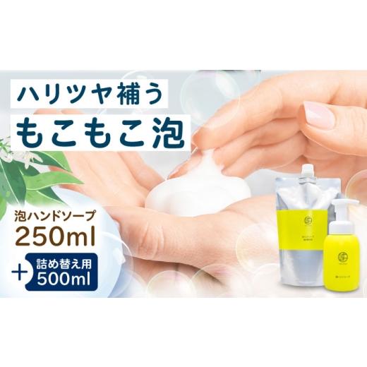 ふるさと納税 石鹸 液体せっけん 愛媛県 内子町 ハンドソープ うちこコスメ泡ハンドソープ 250ml&詰め替え用500mlセット / スキンケア 洗浄 化粧品 コスメ …