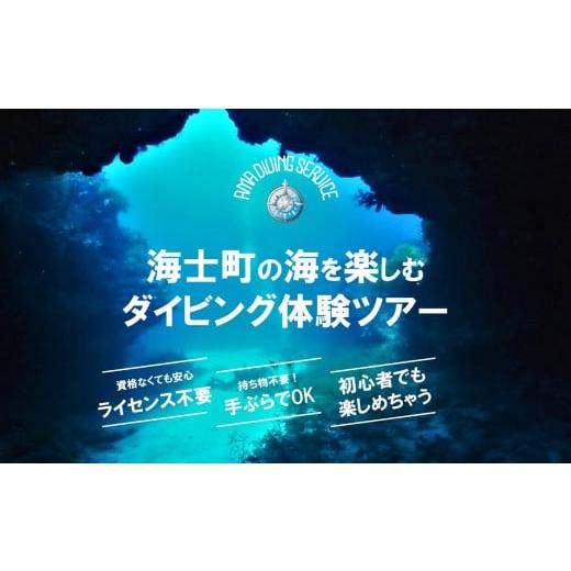 ふるさと納税 島根県 海士町 [離島で潜ろう!]海士町ダイビング体験(ボートダイビング)