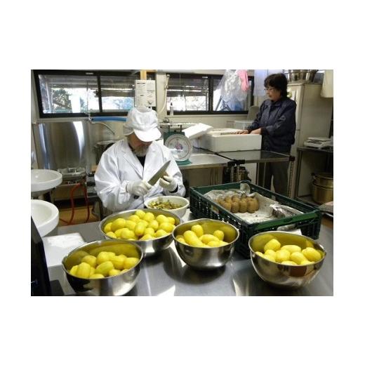 ふるさと納税 山形県 三川町 食の都庄内　素材を大切に　手作りジャムとドライフルーツのセットプレミアム 