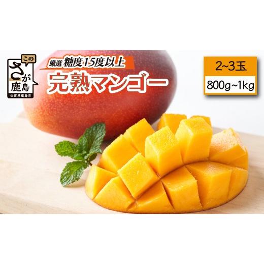 ふるさと納税 マンゴー 佐賀県 鹿島市 厳選 濃厚完熟 まっちゃん マンゴー 糖度15度以上 2〜3玉 合計約800g〜1kg程度 L・2Lサイズ アップルマンゴー フルーツ …