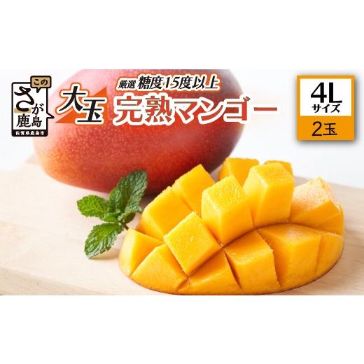 ふるさと納税 マンゴー 佐賀県 鹿島市 厳選 濃厚完熟 まっちゃん マンゴー 糖度15度以上 2玉 合計約1kg〜1.3kg 4Lサイズ 大きめ 大玉 アップルマンゴー フルー…