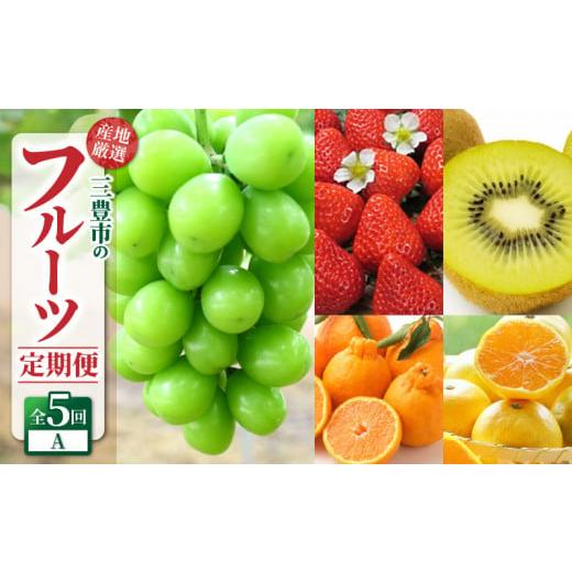 ふるさと納税 いちご 香川県 三豊市 フルーツ 定期便 年5回 三豊市 産地厳選 フルーツ定期便A 果物定期便 フルーツ定期便 定期配送 産地直送 旬フルーツ 季節…