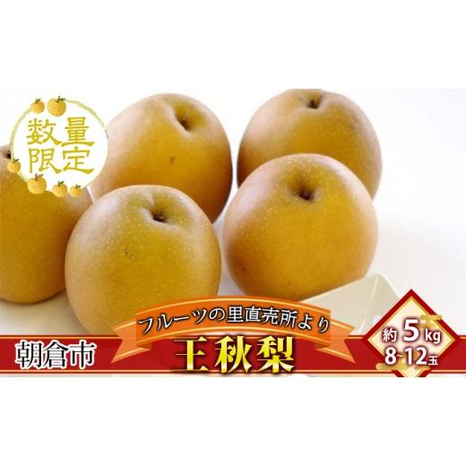 ふるさと納税 梨 福岡県 朝倉市 フルーツの里の直売所より 王秋梨 5kg ナシ 果物 先行予約