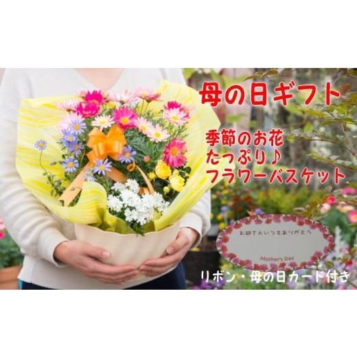 ふるさと納税 雑貨・日用品 花 福岡県 朝倉市 母の日 ギフト 季節のフラワーバスケット 白鉢 (オンライン決済限定) 花