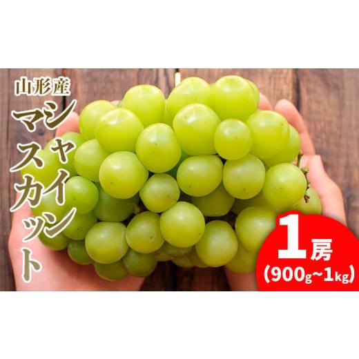 ふるさと納税 山形県 山形市 大房シャインマスカット ロイヤルサイズ 1房(900g〜1kg) [令和6年産先行予約]FU21-169 フルーツ くだもの 果物 山形 山形県 山…