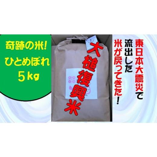 ふるさと納税 岩手県 大槌町 [思いやり型返礼品]奇跡の米「大槌復興米」5キロ