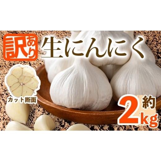 ふるさと納税 野菜類 香川県 まんのう町 先行予約 2026年5月上旬以降順次発送予定 訳あり・家庭用 香川県産 生にんにく(約2kg) man068 Aglio nero