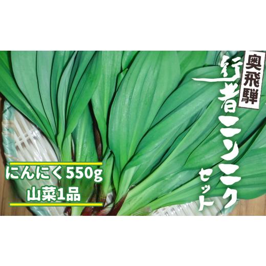 ふるさと納税 野菜類 山菜 岐阜県 飛騨市 [先行予約]選べる内容量 奥飛騨産とれたて新鮮 生行者ニンニク 550g , 山菜1品 行者ニンニク 行者にんにく 醤油漬…