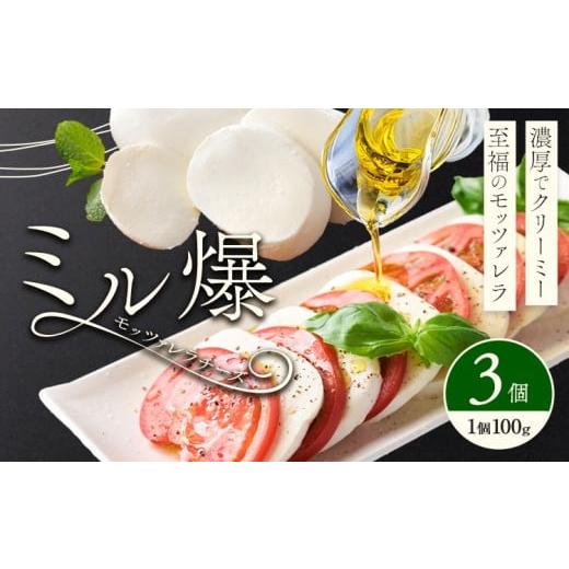 ふるさと納税 加工品等 チーズ 熊本県 菊池市 モッツァレラチーズ ミル爆 3個 チーズ モザレラ 株式会社フォルナ・ヴェスタ[90日以内に出荷予定(土日祝除く)…