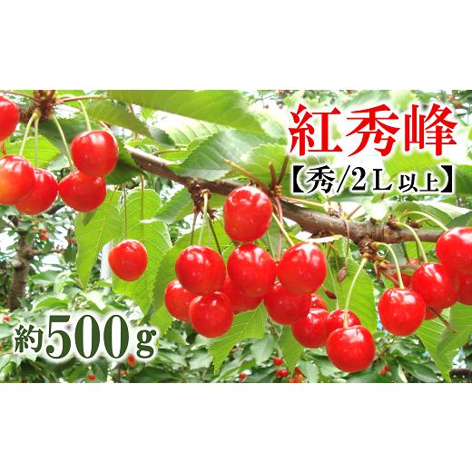 ふるさと納税 果物類 さくらんぼ 山形県 南陽市 令和8年産先行予約 さくらんぼ 「紅秀峰」 約500g (約500g×1パック 秀 2L以上) バラ詰め [令和8年6月下旬〜…
