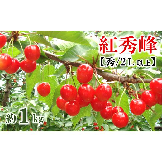 ふるさと納税 山形県 南陽市 [令和6年産先行予約]さくらんぼ 「紅秀峰」 約1kg (約500g×2パック 秀 2L以上) バラ詰め[令和6年6月下旬〜発送] 『マルタニ…