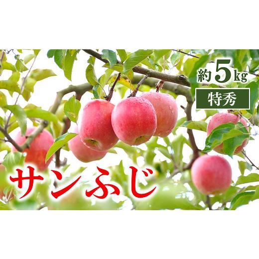 ふるさと納税 りんご 山形県 南陽市 令和8年産先行予約 りんご 「サンふじ」 約5kg (13〜18玉 特秀) パック詰 [令和8年11月中旬〜発送] 『マルタニ農園』 …