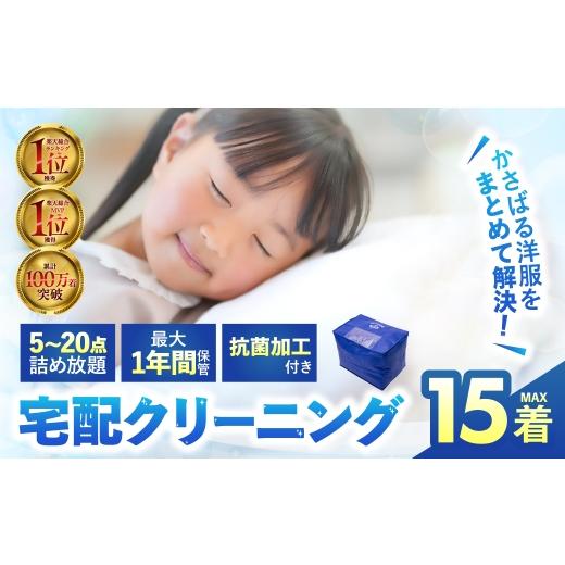 ふるさと納税 イベントやチケット等 岐阜県 大垣市 最大1年間保管付 衣類クリーニング 15点 選べる点数 詰め放題 クリーニング 衣替え 新生活 サービス 衣替…