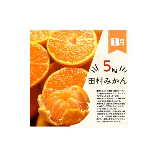 ふるさと納税 果物類 みかん 和歌山県 太地町  3か月定期便 人気のみかんを集めた 旬の柑橘定期便 田村みかん・ポンカン・清見オレンジ tkb111_2