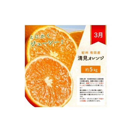 ふるさと納税 果物類 みかん 和歌山県 太地町  3か月定期便 人気のみかんを集めた 旬の柑橘定期便 田村みかん・ポンカン・清見オレンジ tkb111_4