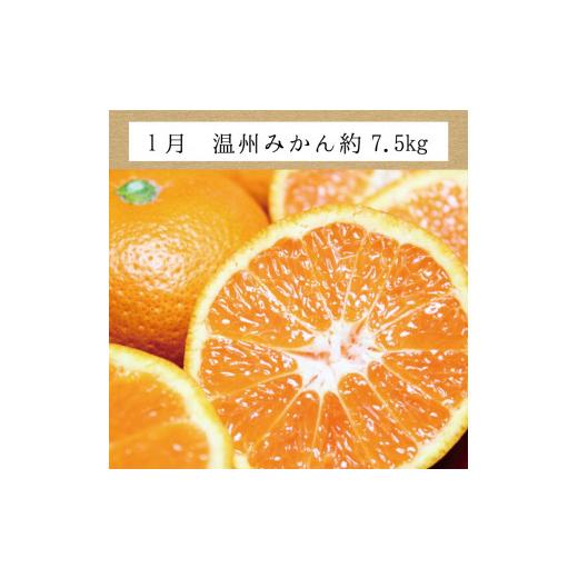 ふるさと納税 和歌山県 太地町 【3か月定期便】たっぷり届く♪訳ありみかんの定期便｜furusatochoice｜04