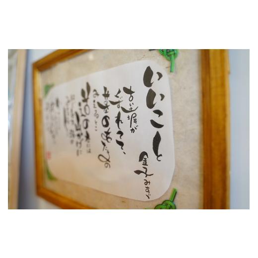 ふるさと納税 体験チケット 愛知県 碧南市 心書認定インストラクター　筆文字体験　１人分　H144-004_2