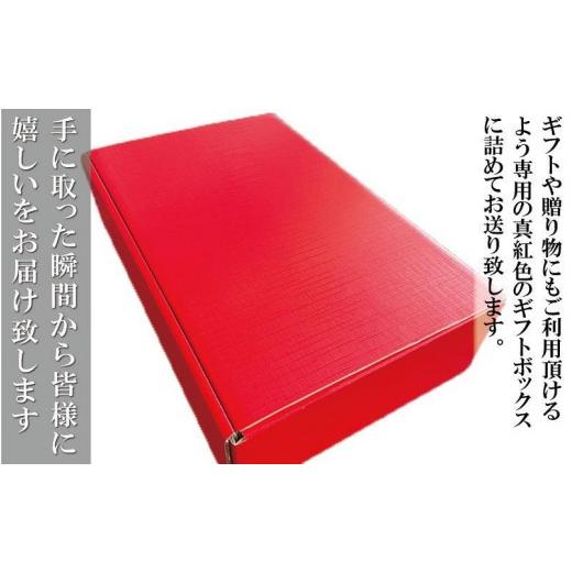 ふるさと納税 惣菜・レトルト 冷凍 和歌山県 白浜町 本格トルコ料理 オードブル 6名セット ケバブチキンステーキ ハンバーグ ピザ 焼き菓子 肉料理 鶏肉 温め…_8