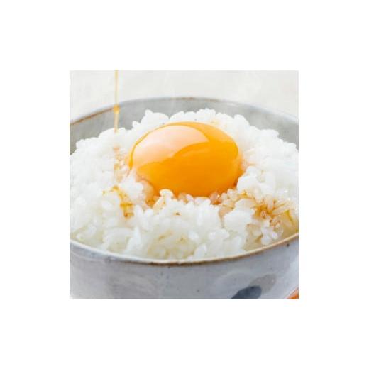ふるさと納税 米 ヒノヒカリ 熊本県 菊池市 熊本県菊池産 5kg×2 ふるさと納税 米 ヒノヒカリ 熊本県 菊池市 熊本県菊池産 5kg×2