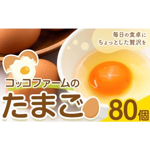 ふるさと納税 卵(鶏、烏骨鶏等) 熊本県 菊池市 コッコファームのたまご 選べる内容量 80個 コッコファーム[90日以内に出荷予定(土日祝除く)]熊本県 菊池市…
