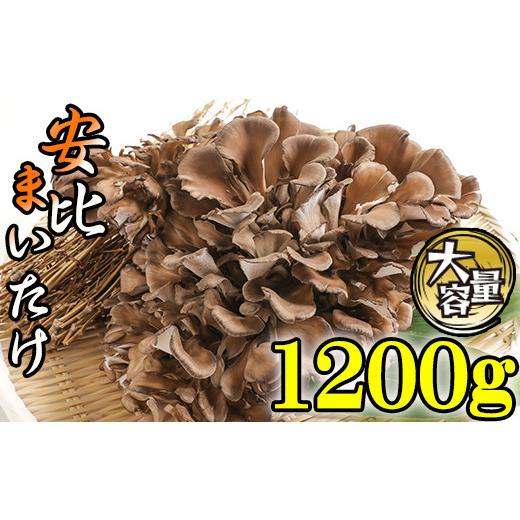 ふるさと納税 野菜類 きのこ 岩手県 八幡平市 早期予約 2026年9月発送開始予定 生まいたけ 大株 約1200g 安比まいたけ ／ 生 まいたけ 舞茸 マイタケ 生舞茸 …_1