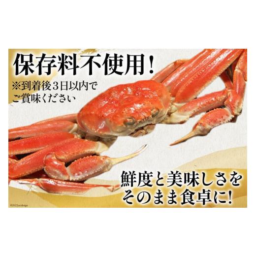 ふるさと納税 カニ ずわいガニ 宮城県 気仙沼市 老舗カニ卸業者から直送 本ずわいがに ほぐし身 500g カネダイ 宮城県 気仙沼市 20564328 かに ズワイガニ ズ…の画像
